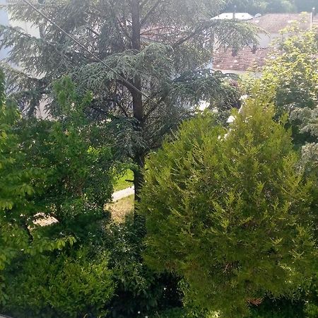 Villa Arc En Ciel Et Cle Des Champs Contrexéville Esterno foto