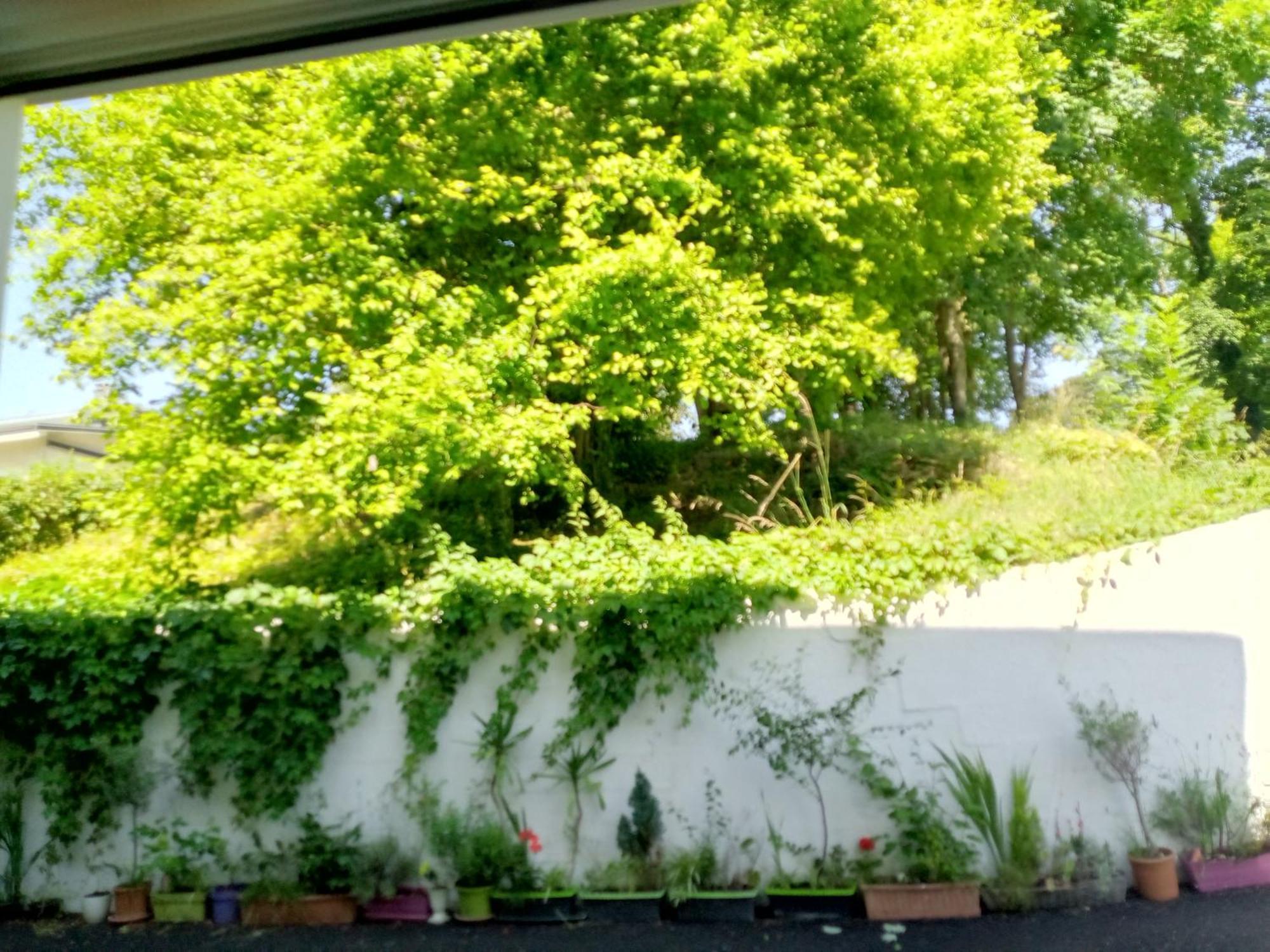 Villa Arc En Ciel Et Cle Des Champs Contrexéville Esterno foto